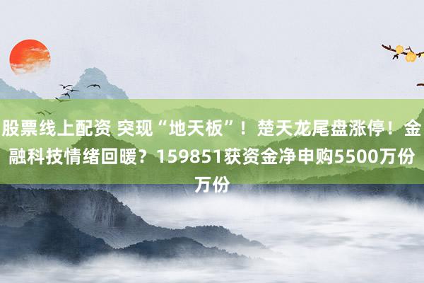 股票线上配资 突现“地天板”！楚天龙尾盘涨停！金融科技情绪回暖？159851获资金净申购5500万份